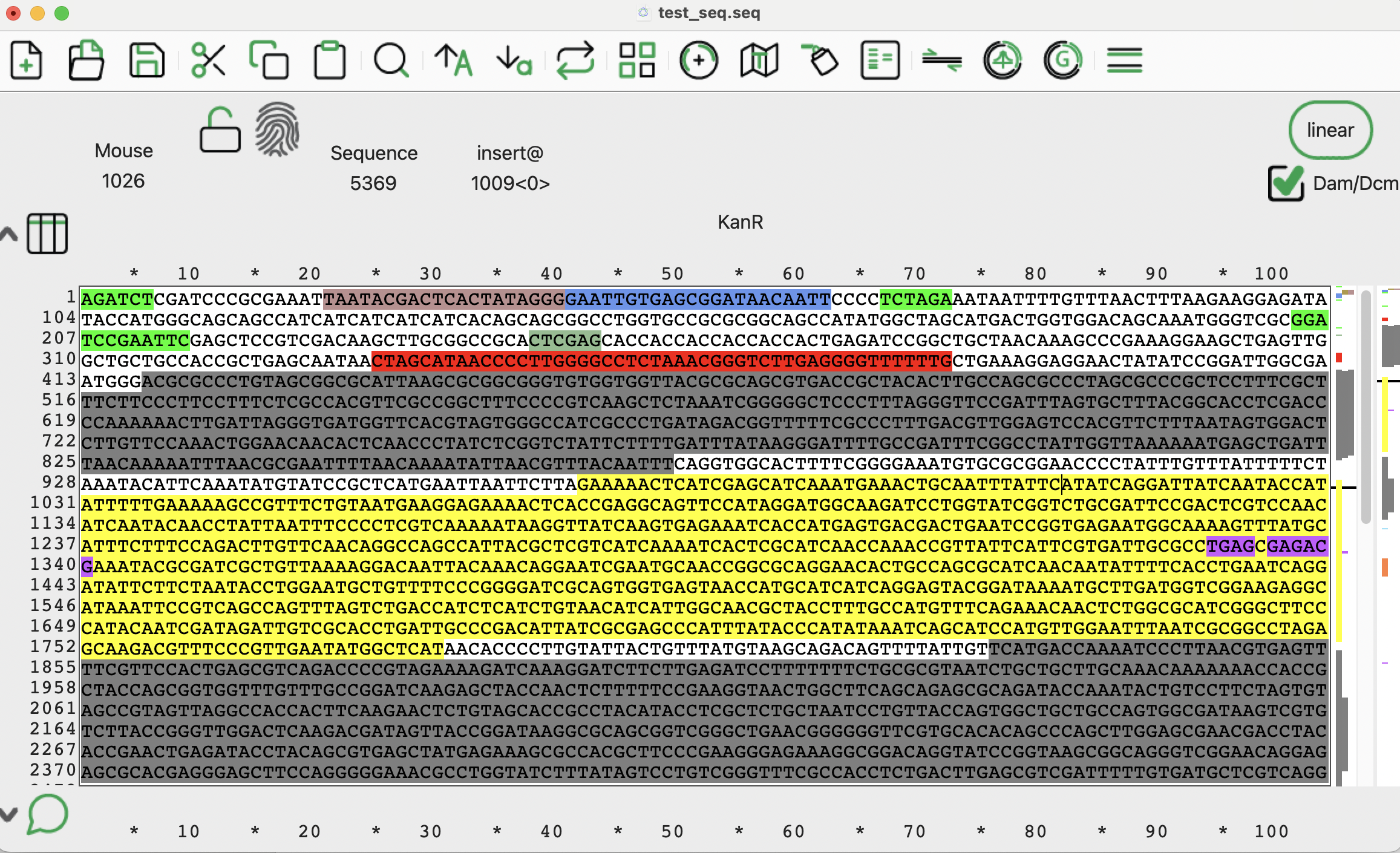 Screenshot of ApE showing an auto-annotated DNA sequence, with colored feature highlights and labels applied from the loaded feature library.