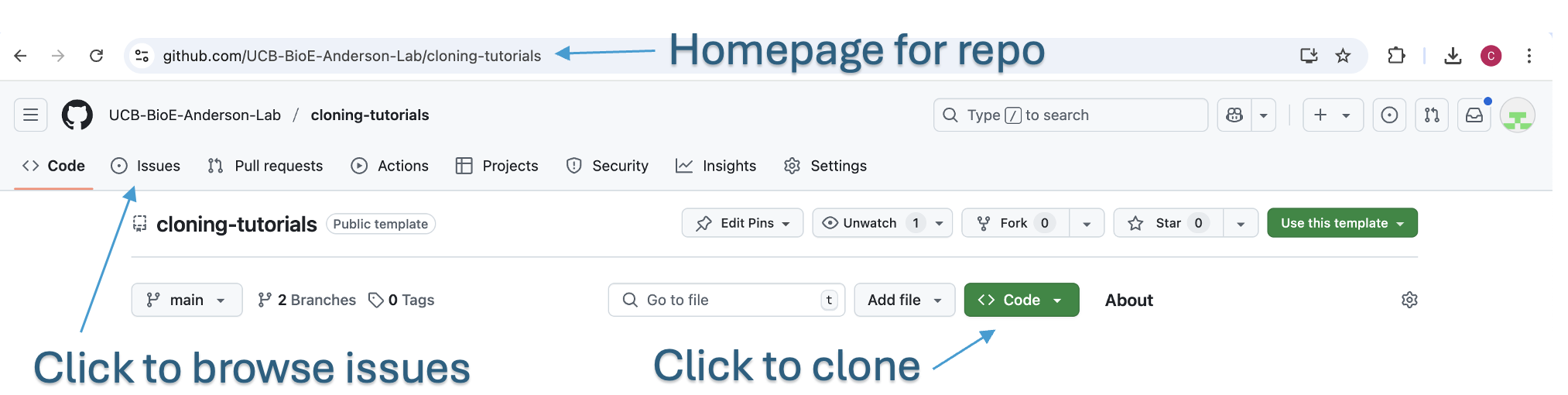 GitHub Repo Overview and Issues Tab