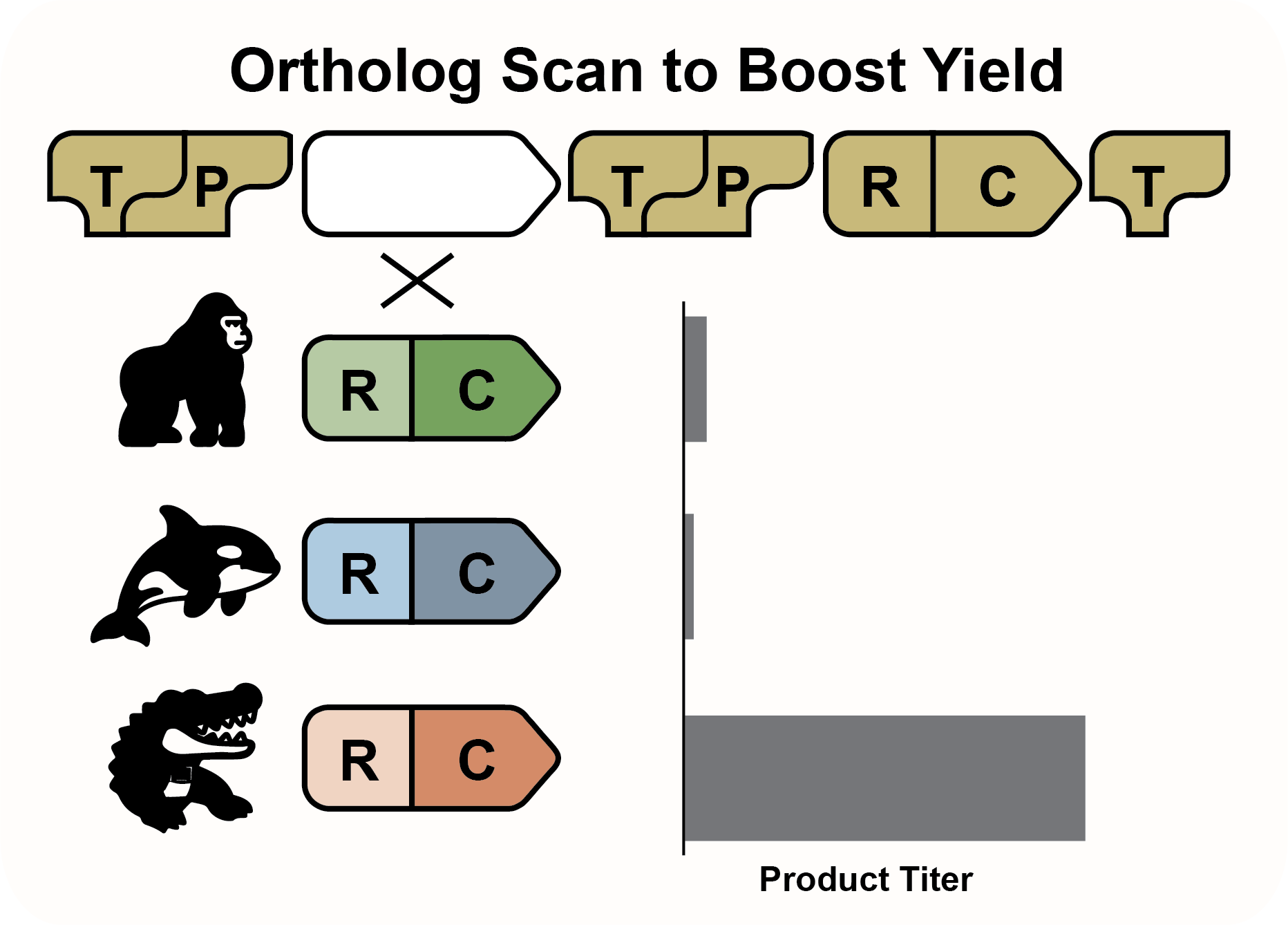 Ortholog Scan to Boost Yield