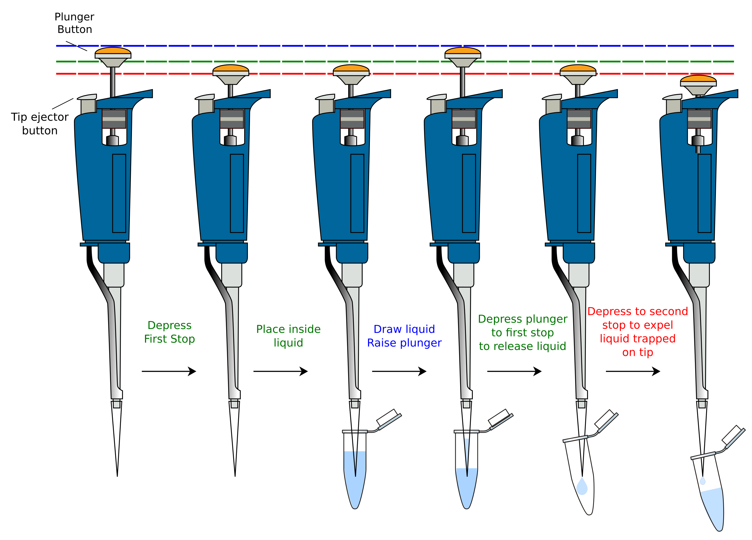 Illustration showing the correct sequence for forward pipetting using a blue micropipette. Steps include pressing to the first stop, immersing tip, drawing up liquid, dispensing to the first stop, and pressing to the second stop to expel remaining liquid. Each step is labeled and the plunger positions are color-coded for clarity.