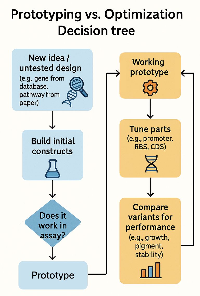 Prototyping vs. Optimization decision tree