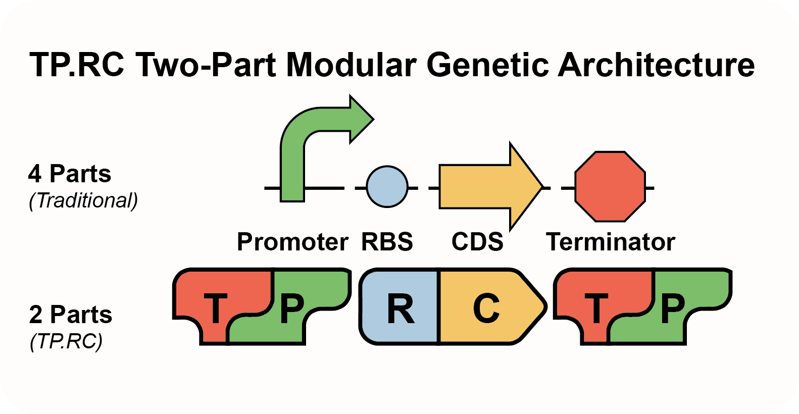 Schematic showing TP.RC modular part layout