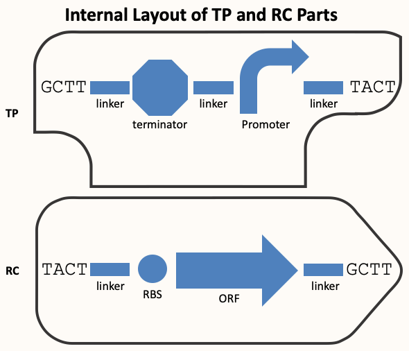 TP and RC standardization with Golden Gate